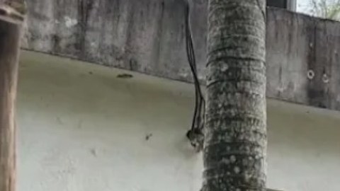 Aparece narcomanta con amenazas y detalles de un multihomicidio al sur de México.