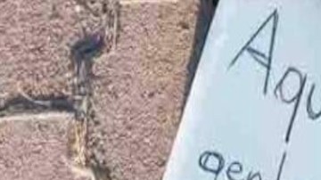 Este fue el narcomensaje que el CJNG le dejó al Cártel de Sinaloa en Zacatecas, México.