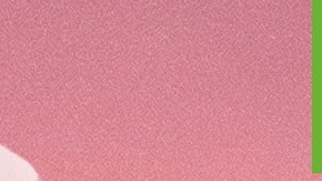 KFC pollo a base de plantas