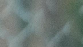 Policía de Seattle disparó y mató a sospechoso que apuñaló a un oficial canino e hirió a otro policía