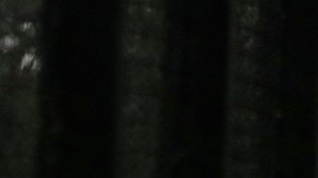 VIDEO: Frente Frío 19 deja a su paso por México bajas temperaturas, lluvias y fuertes vientos