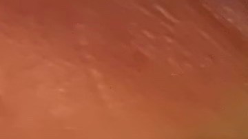 Se reabren el periodo para solicitar pruebas de covid. (Araceli Martínez/La Opinión)