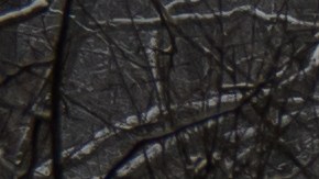 Puente colapsa en Pittsburgh, dejando varios conductores atrapados bajo condiciones heladas