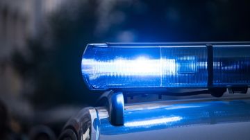 Recepcionista golpeada hasta morir con tubo metálico en oficina de Filadelfia, sospechoso arrestado
