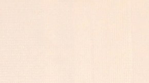 Roberto Palazuelos y Alex Speitzer | Mezcalent.