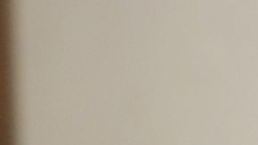 La iniciativa es una de las prioridades para el gobernador Ron DeSantis.