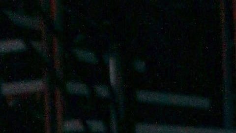 Video de Rosie Rivera y su esposo Abel teniendo una discusión sale nuevamente a la luz