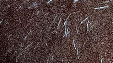 Secretario Seguridad Nacional, Alejandro Mayorkas, recibe trato frío de agentes migratorios en una tensa reunión