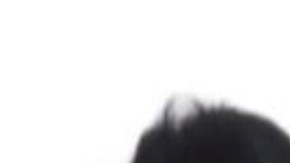 Detienen a dos líderes del CJNG, tras persecución; entre ellos "el Munrra".