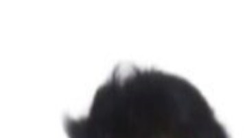 Detienen a dos líderes del CJNG, tras persecución; entre ellos "el Munrra".