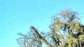 Balacera y persecución deja en un muerto en la frontera.