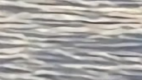 Guardacostas busca a 39 personas tras naufragio de barco cerca de Florida