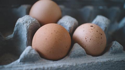 Temores de escasez de carne y huevos, después de que las tiendas informaran 'estantes vacíos' en EE.UU.