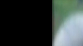 El mismo líder del narco que asistió a concierto del Komander tiene un tigre por mascota.