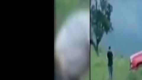 El mismo líder del narco que asistió a concierto del Komander tiene un tigre por mascota.