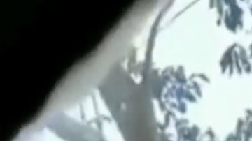 Policía mexicana durante operativo para detener a banda de asesinos.