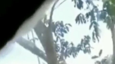 Policía mexicana durante operativo para detener a banda de asesinos.