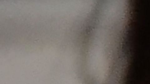 Vacuna contra Covid de Moderna recibe autorización total para su uso por parte de la FDA