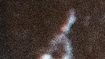 Video muestra cómo una pandilla de nueve ladrones armados con mazos se apodera del centro comercial del Área de la Bahía