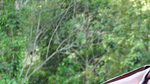 Después de robar un coche lo chocó contra una casa