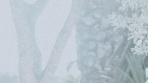 Las amigas más complicadas del zodiaco tienen un carácter difícil, pero son confiables y leales.