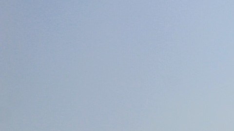 Indonesia tendrá nueva capital y anunció el traslado de Yakarta a una ciudad en la Isla de Borneo