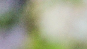 aromas lugar de trabajo