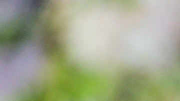 aromas lugar de trabajo