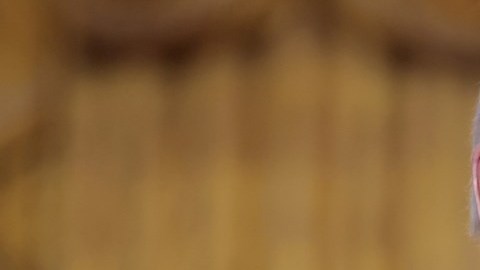 Joe Biden dice que Latinoamérica no es el patio trasero de EE.UU. sino el delantero