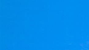 Diego Alonso asumió la selección uruguaya tras su paso por la MLS.