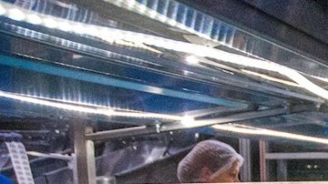 Cerveza, tequila y aguacate, los productos mexicanos de mayor demanda en EE.UU.