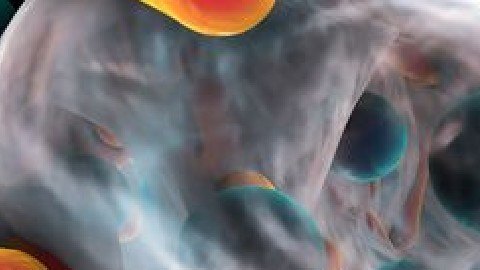 Científicos descubren que virus inyectado a herida de una mujer acaba con "superbacteria" multirresistente