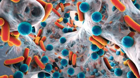 Científicos descubren que virus inyectado a herida de una mujer acaba con "superbacteria" multirresistente