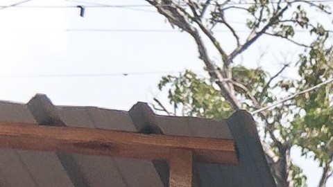 Sismo en Haití de magnitud 5.3 sacude su península sur y deja al menos 2 fallecidos