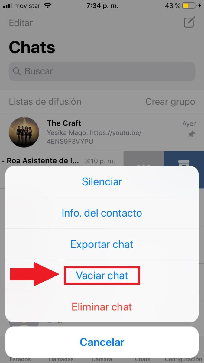 Screenshot showing the WhatsApp chats configuration menu