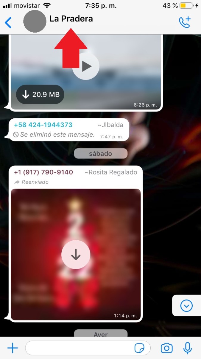 Captura de pantalla de un chat en WhatsApp