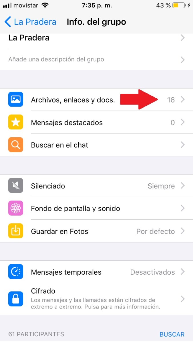 Captura de pantalla de un chat en WhatsApp