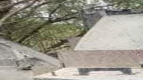 Van más de 20 "monstruos" que le quitan a los narcos.