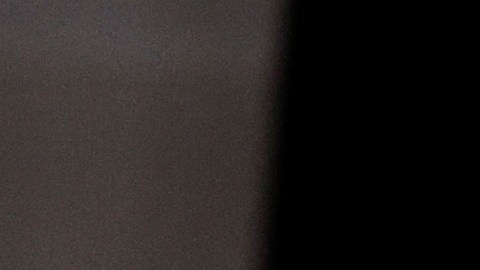 Biden rinde respetos a Harry Reid