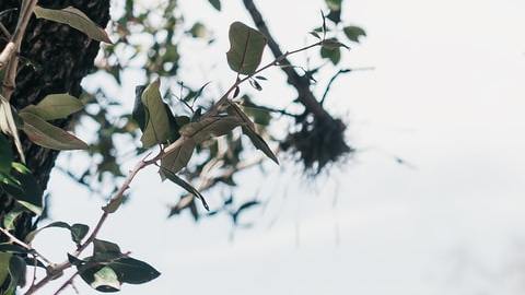 El amor está al alcance de un signo zodiacal.