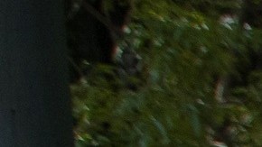 México suma 44,187 nuevos casos de COVID, la cifra más alta en toda la pandemia