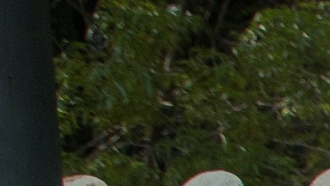 México suma 44,187 nuevos casos de COVID, la cifra más alta en toda la pandemia