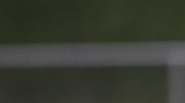 Tite saludó a sus dirigidos durante el entrenamiento.