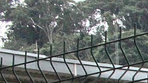 México e Interpol rescataron en 2021 a 7,326 víctimas de trata de persona y crimen organizado