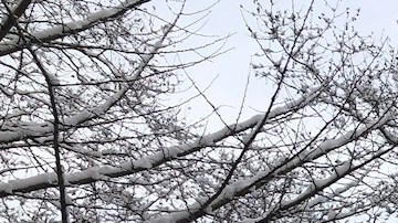 Clima de invierno