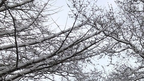 Clima de invierno