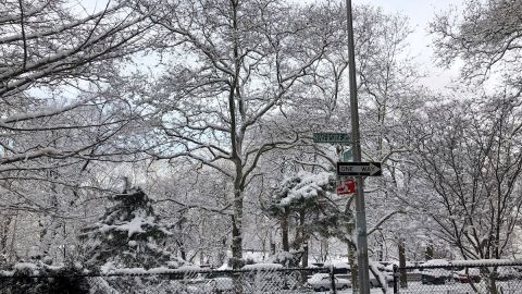 Tormenta invernal amenaza a 80 millones de personas en el sureste de EE.UU.