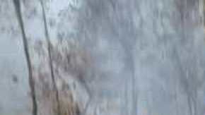 Narcos incendiaron vehículos durante enfrentamiento en el estado mexicano de Michoacán.