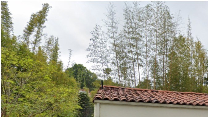 Así se ve por fuera el hogar de Eva Mendes y Ryan Gosling en Los Feliz (Google Maps)