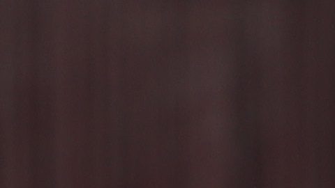 Virginia Torrecilla es manteada por compañeras del Atlético de Madrid y jugadoras del FC Barcelona.